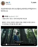 영화 호프 인터내셔널 예고편 공개 반응.jpg