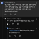 길냥이 학대범들이 모이는중인 새덕후 댓글창