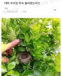 대박 우리집 하숙 들어왔는머?!