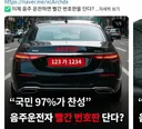 97% 찬성 한다는 빨간 번호판