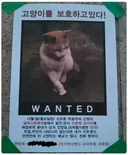 욕망이 가득한 실종 전단지.jpg
