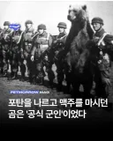 2차대전 공식 군인 곰...