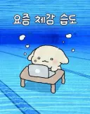 어질어질 대한민국 현황
