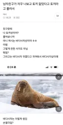 남친이 나보고 토끼 닮았다고 토끼라고 부름