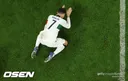 신종 개구리목 개체 발견