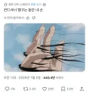 컨디셔너 헹구는 동안 내 손.jpg
