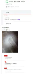 사마귀 에프킬라로 죽나요