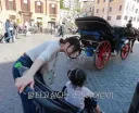 로마 물가에 놀라는 유튜버