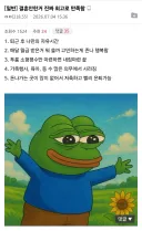 결혼 안한거 너무 만족함.jpe