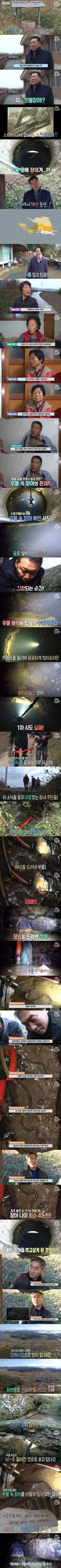 어느 시골 우물의 40년묵은 장어