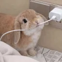 어이 주인 이걸봐라
