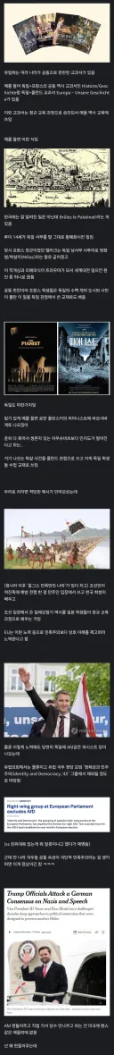 그러고보면 독일의 극우화 심화는 미국 지분이 전혀 없지는 않음