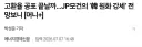 환율 왜 떨어지지 하고 보고 있는데