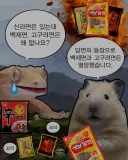 햄스터와 도마뱀 아재개그 만화 근황
