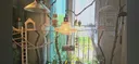 다이소로 만든 연못 정원🌿 관리 (+🐦🦜)