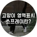 오늘은 강남 아파트, 내일은 동대문 아파트