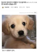 여행간다고 했을때 부모님이 극구 반대하신 이유를 깨달은 사람들