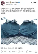 현재 sns에서 논란중인 브라 안쪽패드 손모양..JPG