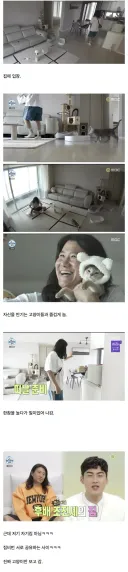 집에서 고양이랑 노는 임우일.