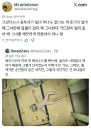 야니네코의 더러움에 불만을 터뜨리는 어느 외국인