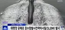일본...핵무기 수입할 것