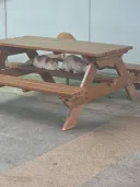 휴게소 냐옹이들...
