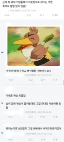 집돼지 행방불명 댓글 논쟁