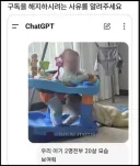 채찍피티 구독 취소 사유