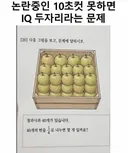 10초컷 못하면 IQ 두자리라는 문제