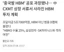 중국산 메모리 근황.jpg