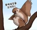 랜덤 야짤
