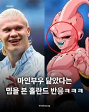 마인부우 닮았다는 밈을 본 홀란드 반응