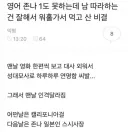 영어 하나도 못 하는데 워홀 가서 먹고 산 썰