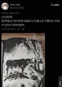 하고싶은거 다해버린 로리쩡 페도의 최후.jpg