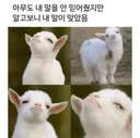 알고보니 내말이 맞았을때