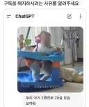 챗GPT 해지하려는 이유