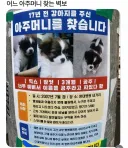 17년 전 강아지 주인 찾는 벽보 후기(?)