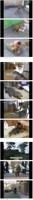 광기의 2000년대 부산