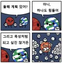 화성: 둘째 계획 있어?