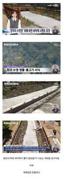 제주도 현황
