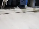 아 집에 바퀴벌레 들어왔네