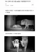 요즘 AI 영상 구분 못하는 이유