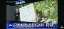고양이 밥주면 벌금 10 만원에 고소미