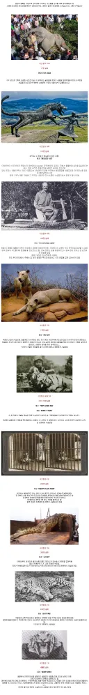 실존했던 식인 동물들.jpg