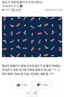 고오급 딜도에는 X알이 달린 이유