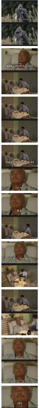 드디어 고릴라랑 싸운 추성훈