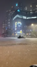 강남 제네시스 침수 레전드