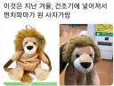 건조기에 넣은 사자가방 대참사