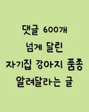 자기집 강아지 품종 알려달라는 글