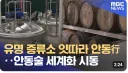 우리나라 문화 중 경쟁력 키운다는 말에 삐딱해지는 종목